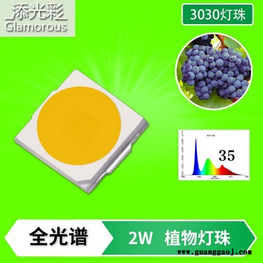 3030 2W 高显指90 高亮植物生长灯全光谱 1-30号 2W 500MA ,金线EMC支架 3030贴片LED图3