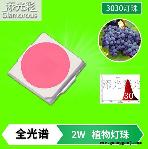 3030 2W 高显指90 高亮植物生长灯全光谱 1-30号 2W 500MA ,金线EMC支架 3030贴片LED图6