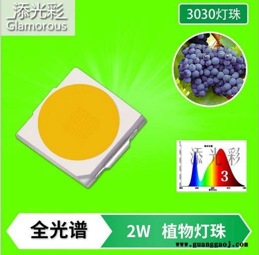 3030 2W 高显指90 高亮植物生长灯全光谱 1-30号 2W 500MA ,金线EMC支架 3030贴片LED图2