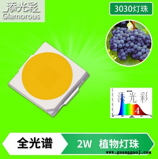 3030 2W 高显指90 高亮植物生长灯全光谱 1-30号 2W 500MA ,金线EMC支架 3030贴片LED图8