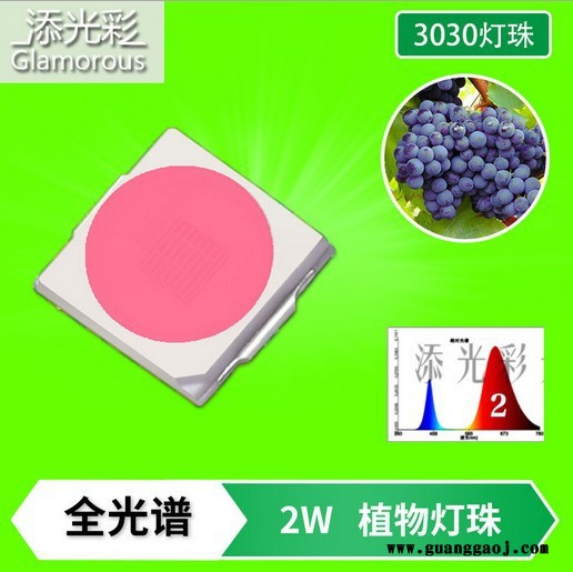 3030 2W 高显指90 高亮植物生长灯全光谱 1-30号 2W 500MA ,金线EMC支架 3030贴片LED图7
