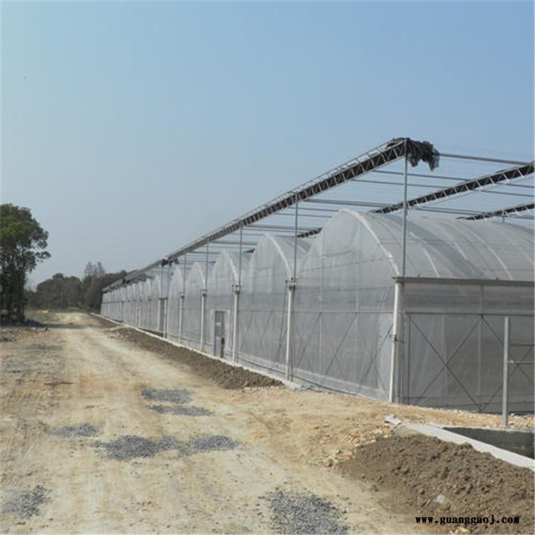 江苏连栋温室建设 钢筋桁架大棚生产厂家旭航温室大棚企业图2