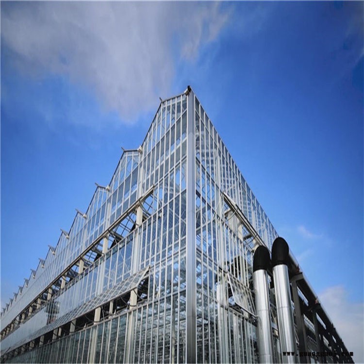桁架温室造价 桁架钢结构施大棚工方案 桁架大棚建造 旭航团队8图2