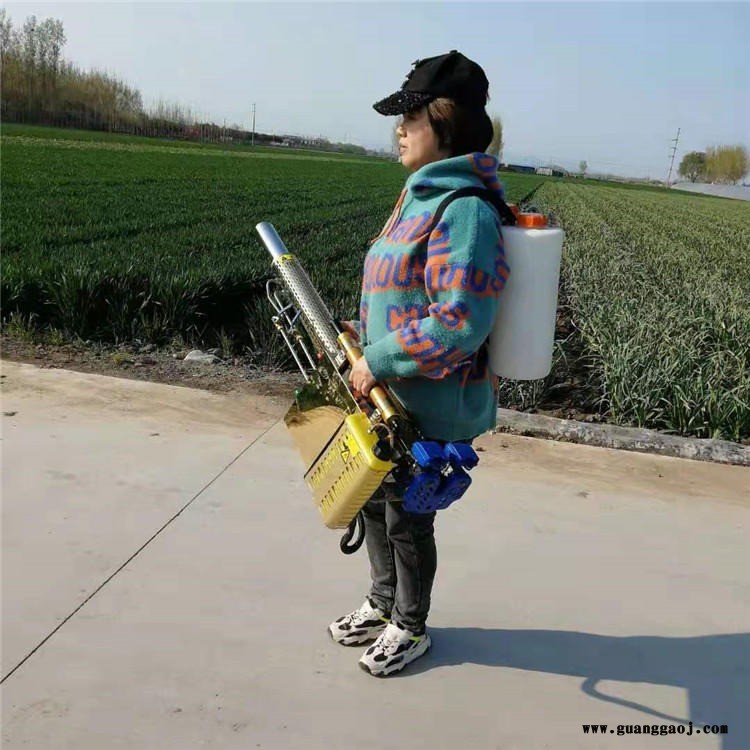 高压双管脉冲烟雾机  舞台摄影制作烟雾制造机 宏泰汽油背负式水雾机