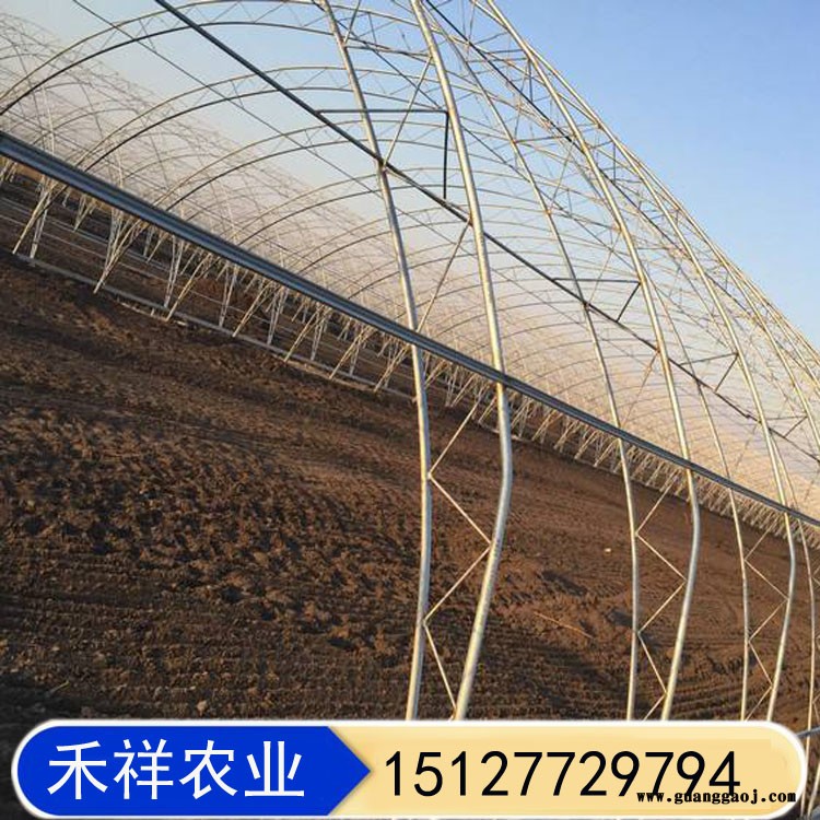 双膜骨架蔬菜大棚 畜牧养殖大棚 桁架双模大棚骨架厂家 禾祥农业 双骨架双层膜温室图2