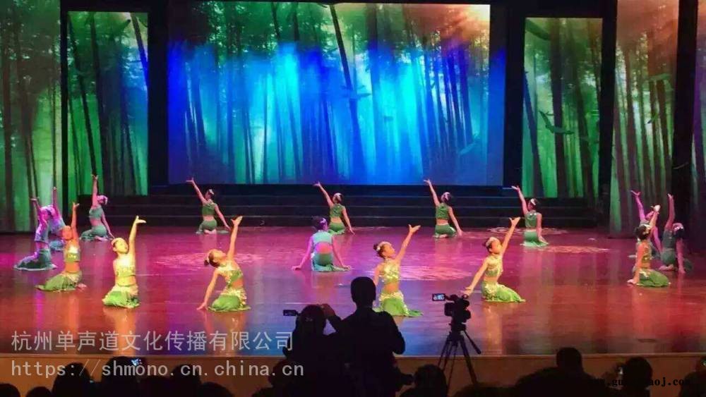 德清舞台灯光音响LED大屏设备服务租赁图2