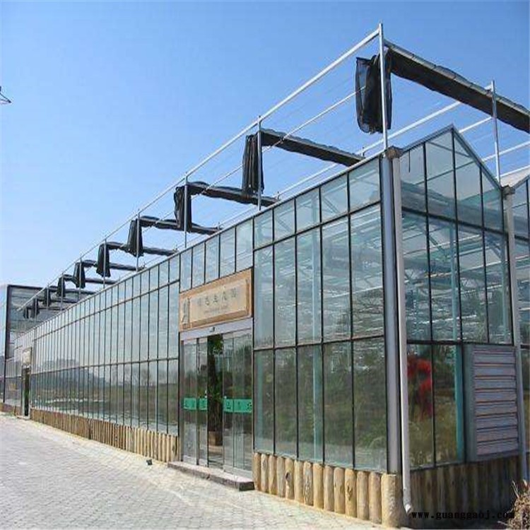 钢筋桁架大棚 大樱桃温室 天津新型智能温室建设旭航温室实地商家图2