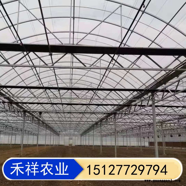 双膜骨架大棚 温室大棚双膜骨架 双层钢骨架大棚 桁架双模大棚骨架 禾祥农业图2
