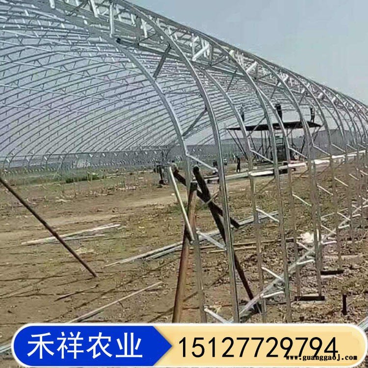 薄膜保温阳光大棚 双膜骨架蔬菜大棚 畜牧养殖大棚 桁架双模大棚骨架厂家 禾祥农业图1