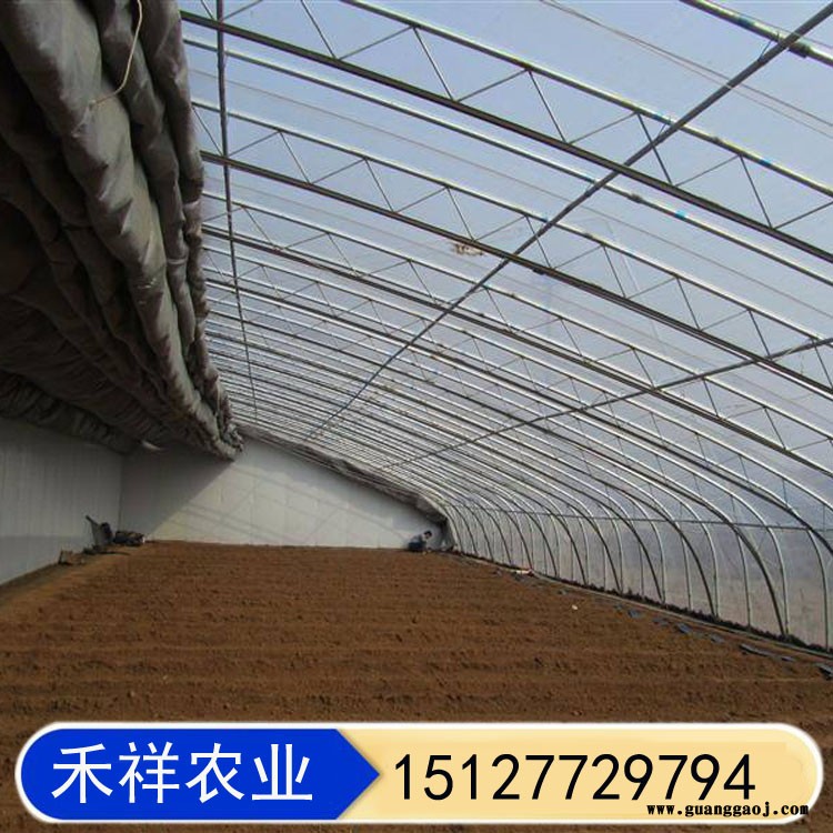 薄膜保温阳光大棚 双膜骨架蔬菜大棚 畜牧养殖大棚 桁架双模大棚骨架厂家 禾祥农业图2