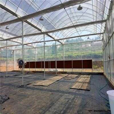 北方反季蔬菜大棚 沈阳辉腾双层膜桁架温室大棚