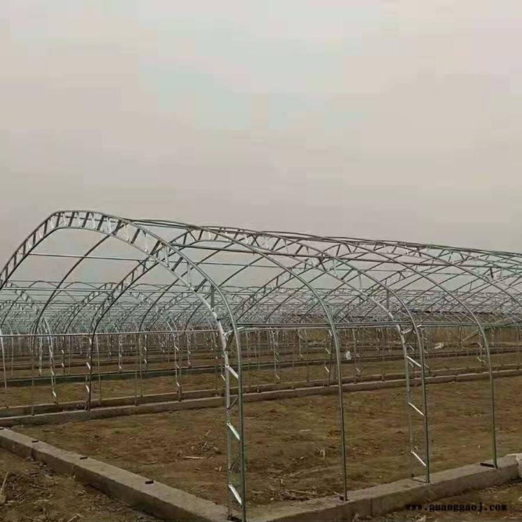 禾祥农业 温室大棚双膜骨架 桁架双模大棚骨架厂家 双膜骨架蔬菜大棚图2