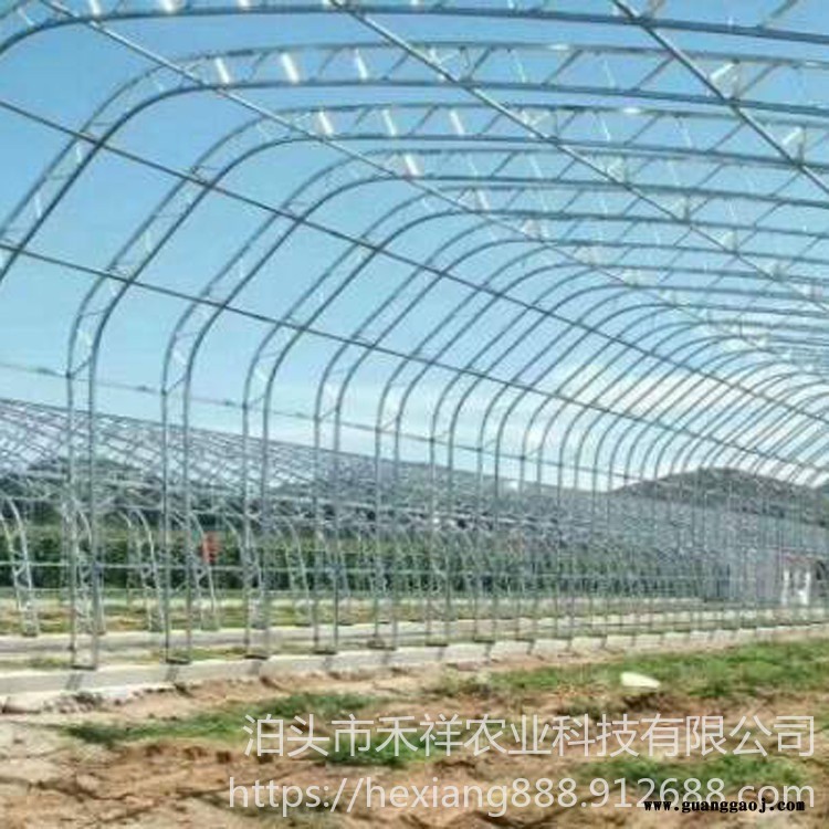 禾祥农业 温室大棚双膜骨架 桁架双模大棚骨架厂家 双膜骨架蔬菜大棚