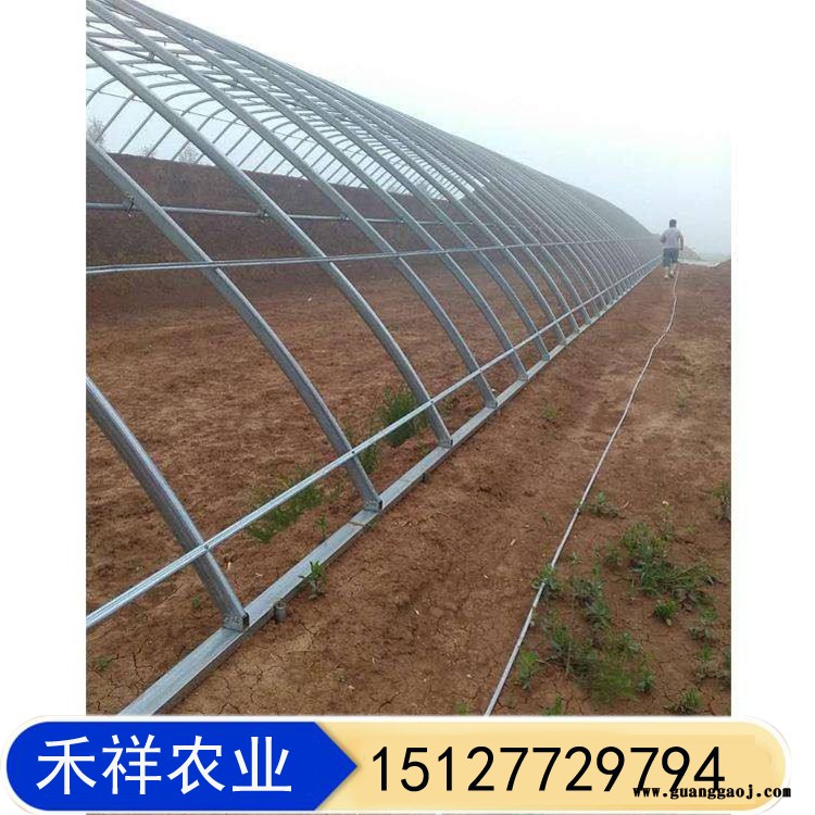花卉育苗连栋大棚 禾祥农业 桁架双模大棚骨架厂家 新型双膜骨架大棚图2