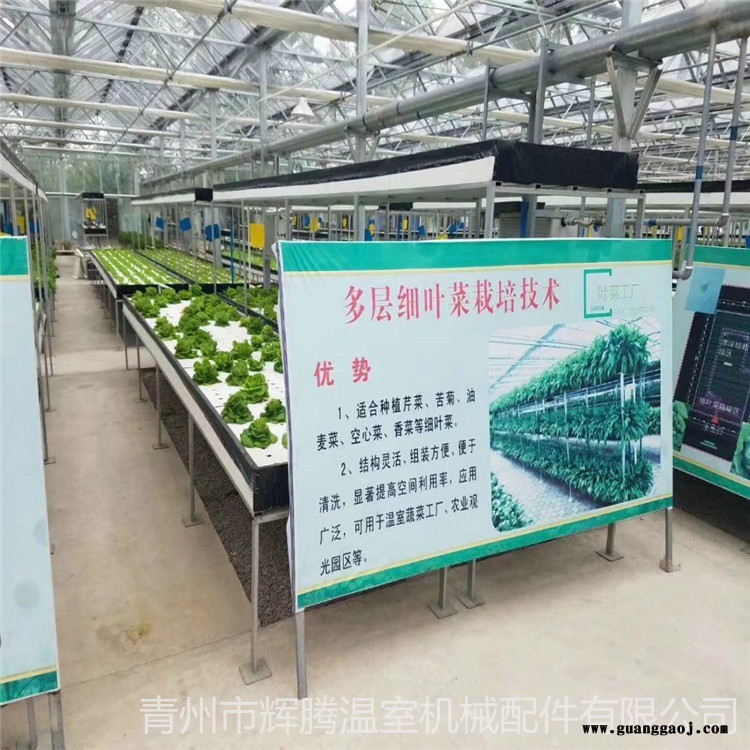 钢筋桁架大棚建设 南宁专业蔬菜大棚 南宁专业搭保温大棚 旭航8