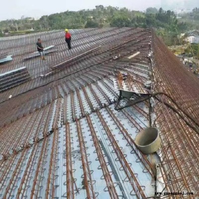 无锡新世杰供应全国地区TD4-120型钢筋桁架楼承板