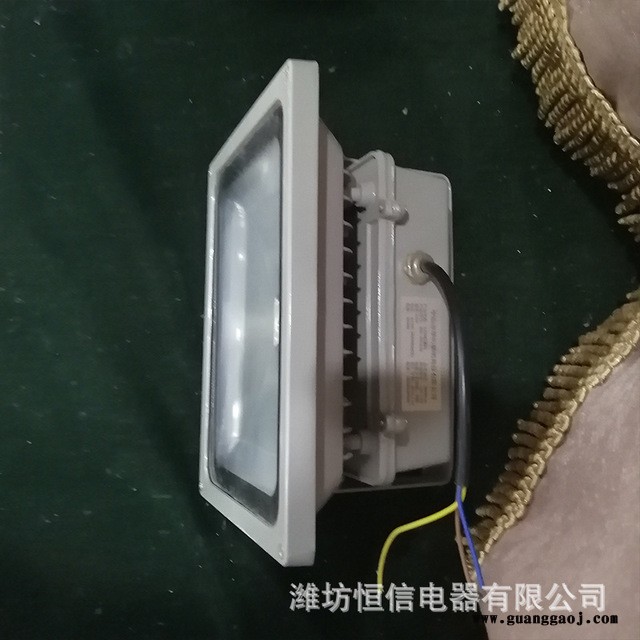 LED泛光灯02 厂家直销质量保障泛光灯  能无闪频照明灯 耐用耐腐蚀使用寿命长 睿进光源多型号图4