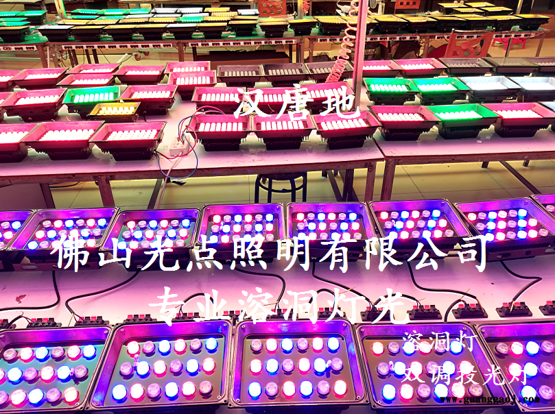 溶洞灯 LED投光灯 溶洞双调灯24W投光灯 48W双调投光灯 佛山光点照明溶洞灯光照明灯具长期供应厂家 欢迎洽谈选购图2