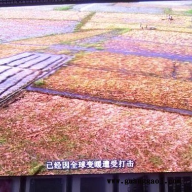 P2全彩led显示屏 欧辰 LED室内全彩显示屏、LED显示屏图4