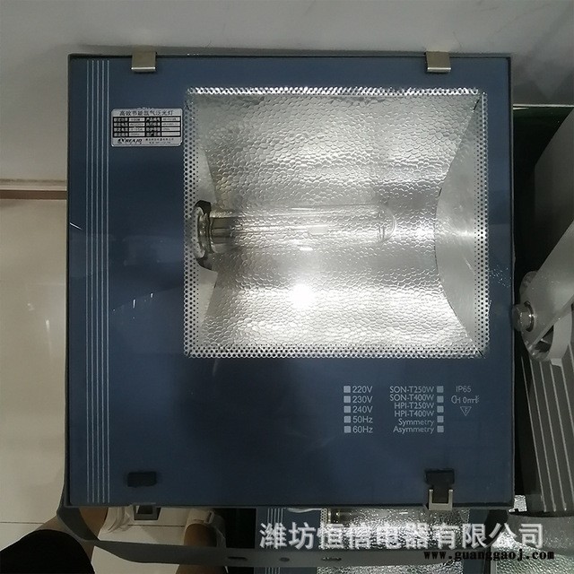 大厂品质泛光灯 无闪频户外照明投射灯灯球场灯 泛光灯厂家直销 睿进光源多型号图2