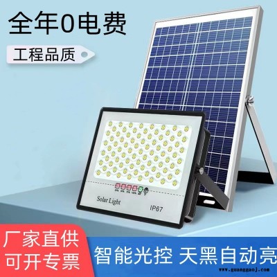 跨境新款太阳能灯满天星款投光灯户外照明庭院灯LED投光灯