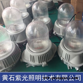 紫光照明GF9150防眩泛光灯/GFE9150泛光灯图2