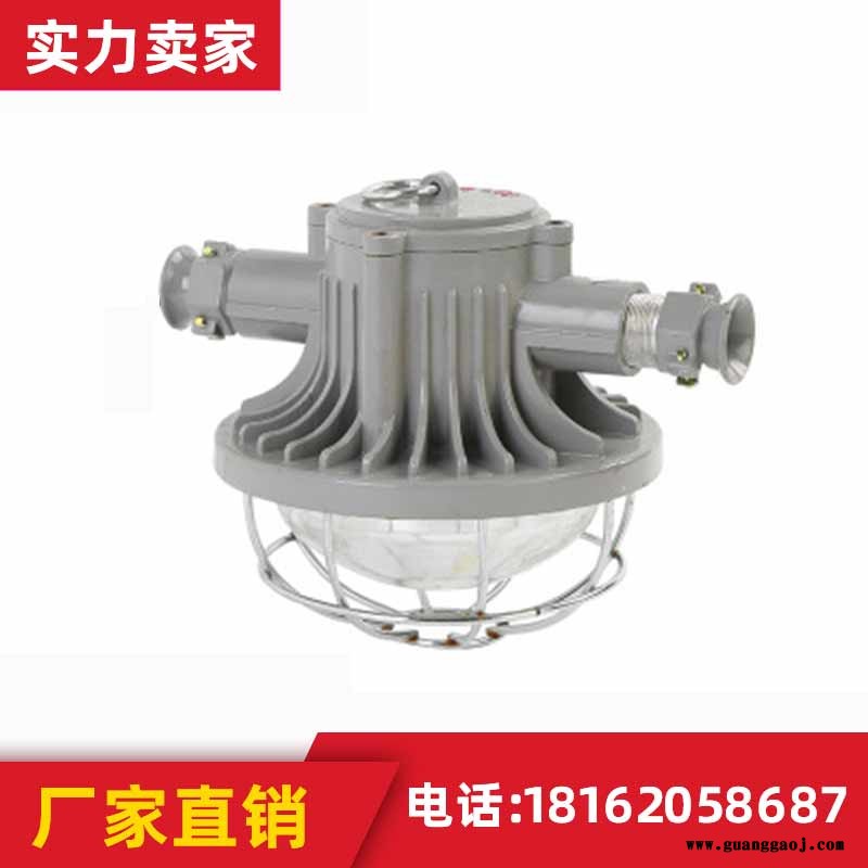 金煤矿用隔爆型投光灯DGS70/ 127L矿用LED巷道灯 DGS18/127L(A)巷道灯 防爆照明灯 可靠图2