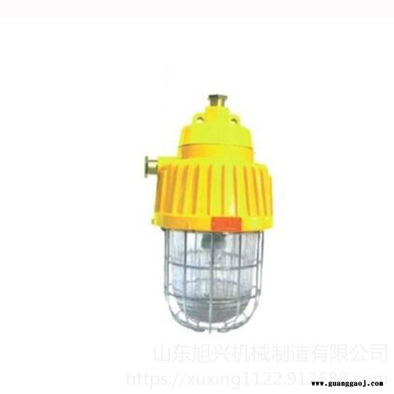 DGS70/127B(F)矿用隔爆型泛光灯