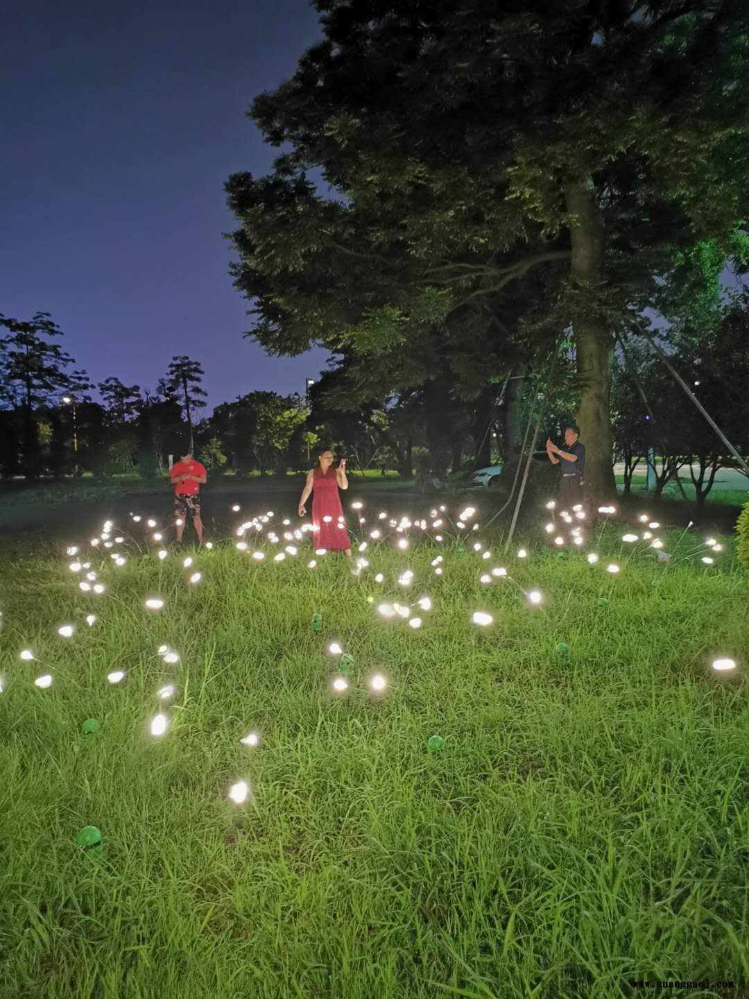 LED动态萤火虫投影灯满天星投光灯氛围灯户外亮化公园景观灯射灯图2