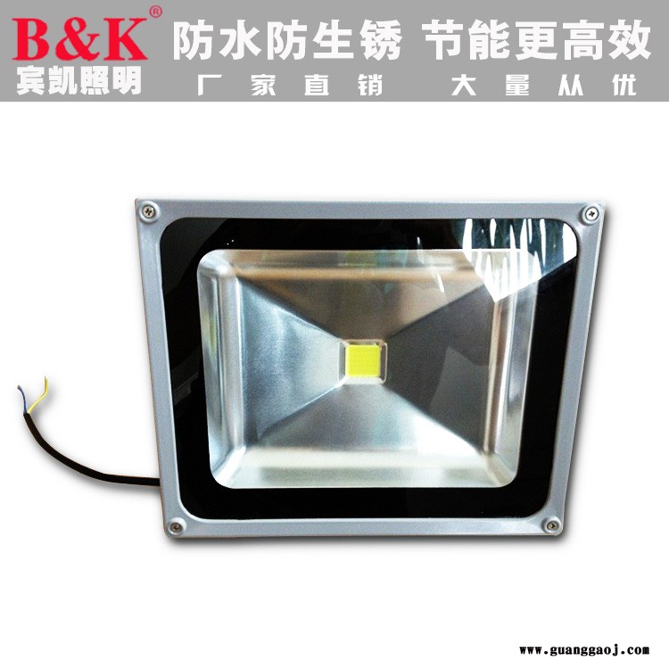 LED泛光灯LED户外投光灯 LED集成投光灯 户外广告投光灯图2