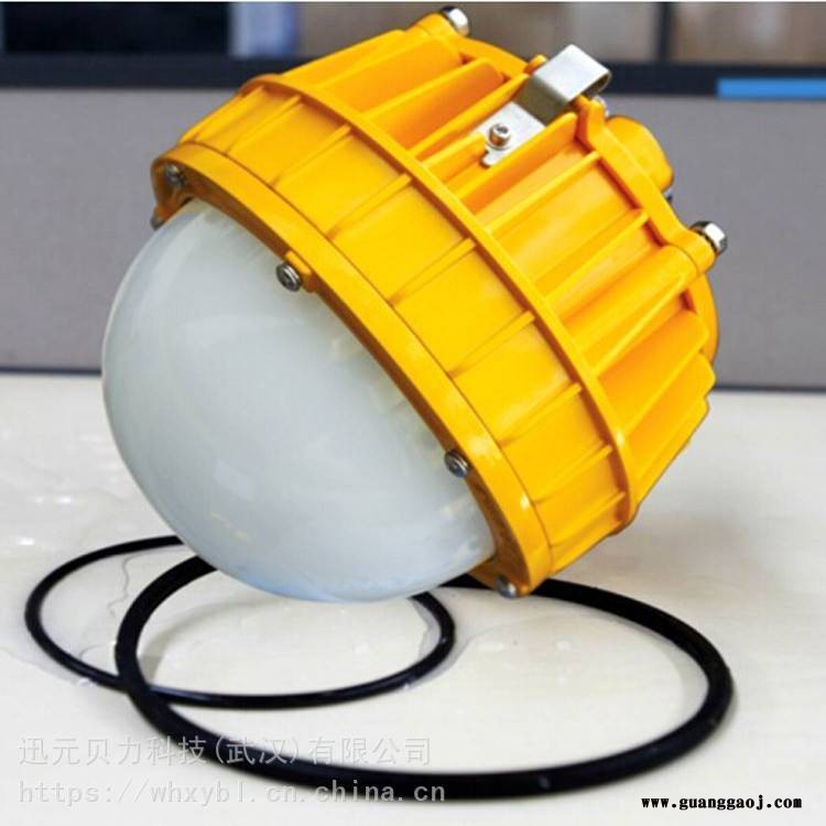 耐高温锅炉房防爆泛光灯80W-加油站气体防爆照明泛光灯100W图2