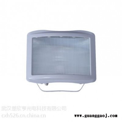 GF9151节能泛光灯GF915170w150W节能防眩泛光灯GF9151价格