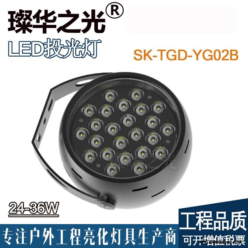 璨华照明SK-TGD-YG02 LED投光灯12W54W新款圆形投光灯楼体建筑公园广场亮化投射灯图1