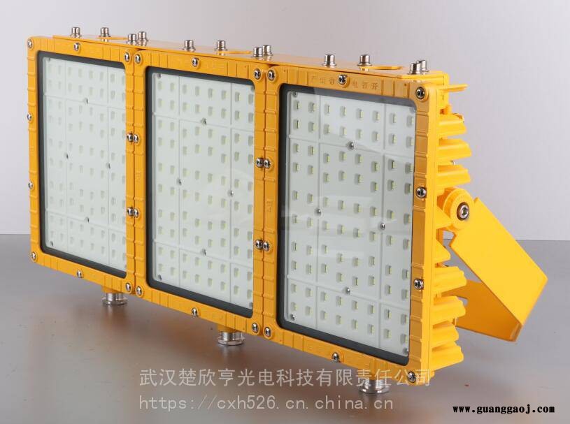 华荣RLEEXL5333LED投光灯IIB型600W华荣投光灯IP65图3