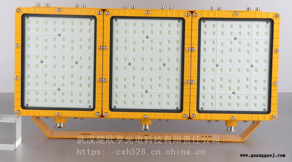 华荣RLEEXL5333LED投光灯IIB型600W华荣投光灯IP65图2