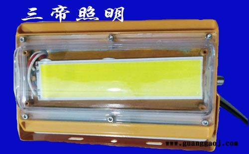36v防爆投光灯三帝牌sd-fb-50w防爆投光灯图3