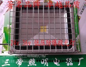 36v防爆投光灯三帝牌sd-fb-50w防爆投光灯图1