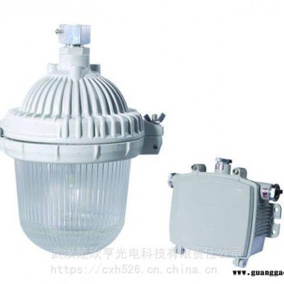 GC101-J42防眩应急泛光灯GC101防眩应急泛光灯