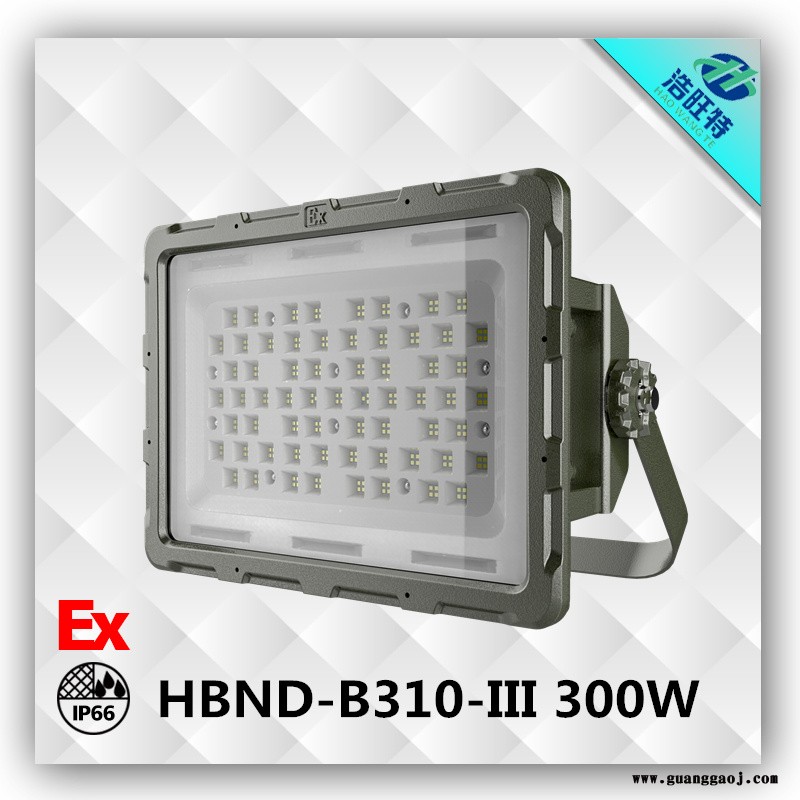 浩旺特HBND-B310-IIILED防爆泛光灯 大功率LED防爆灯   300WLED防爆灯图2