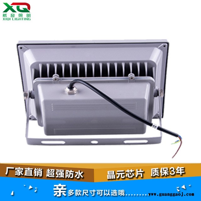 广告射灯亮化工程led投光灯50W 绿化园林照树灯外墙投射灯图2