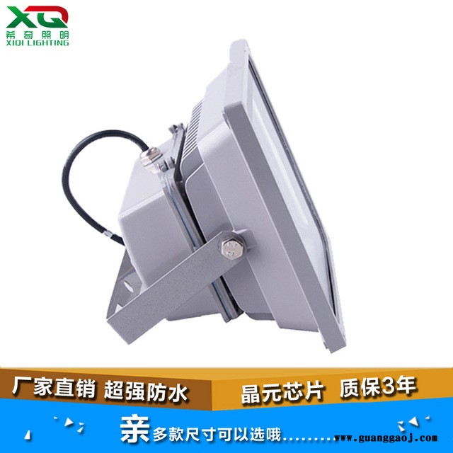 广告射灯亮化工程led投光灯50W 绿化园林照树灯外墙投射灯图4