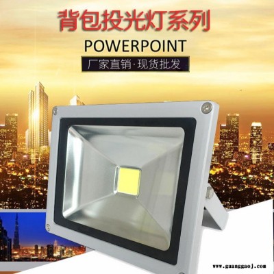 景威厂家 LED投射灯 射树灯 照树灯 投光灯 泛光灯 七彩绿色10W20W30W50W 公园小区 投光灯