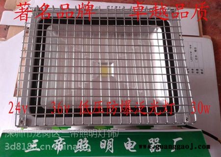 24v防爆投光灯三帝牌24v不锈钢网罩投光灯图1