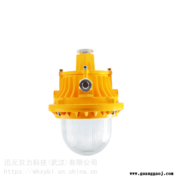 50W防爆投光灯护栏式-50W防爆投光灯吸顶式图2