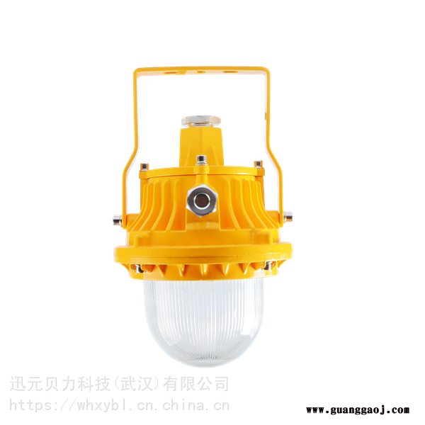 50W防爆投光灯护栏式-50W防爆投光灯吸顶式图3