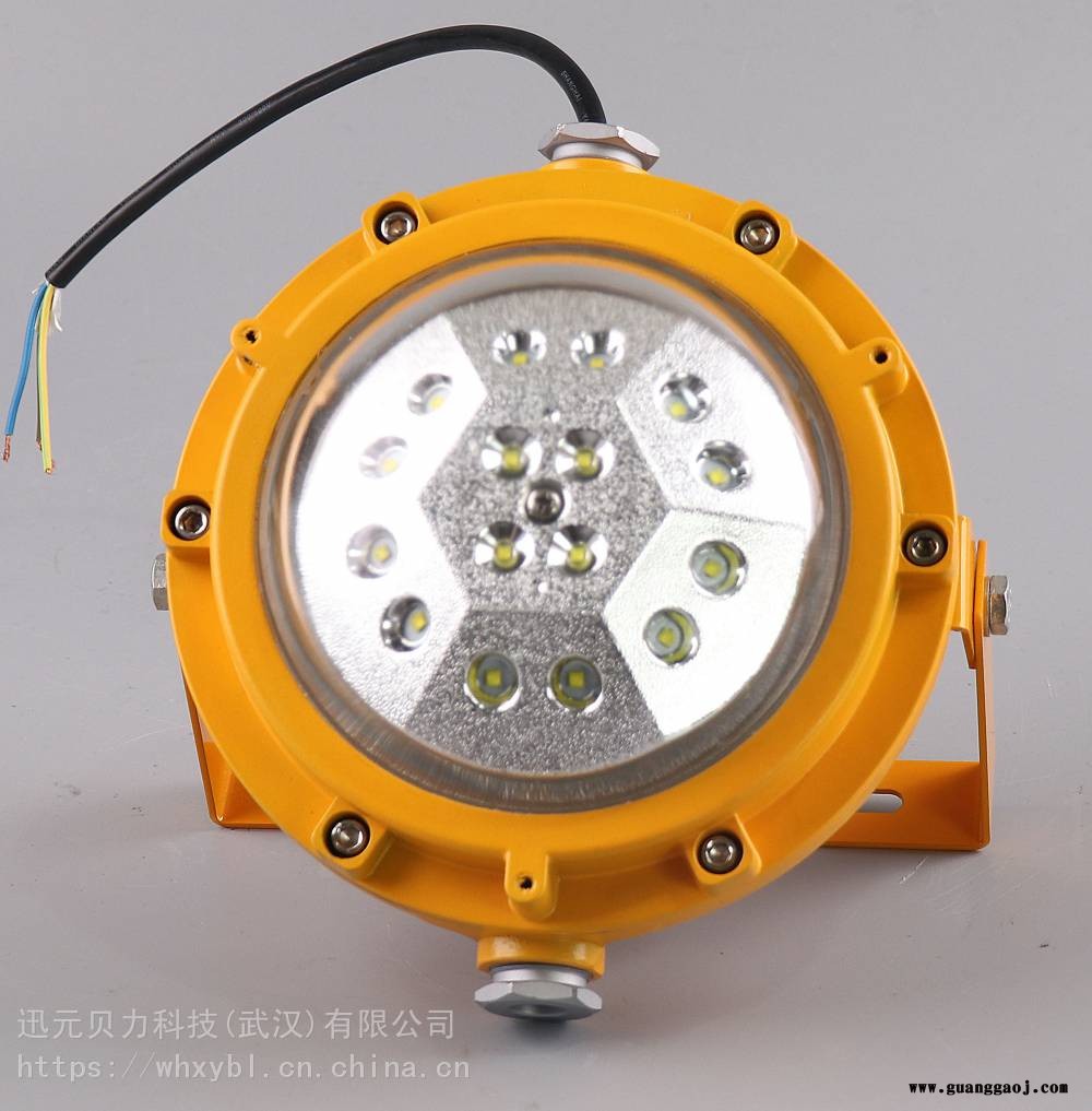 防爆投光灯60W-壁挂式粉尘防爆灯100W-隔爆型LED防爆投光灯图2