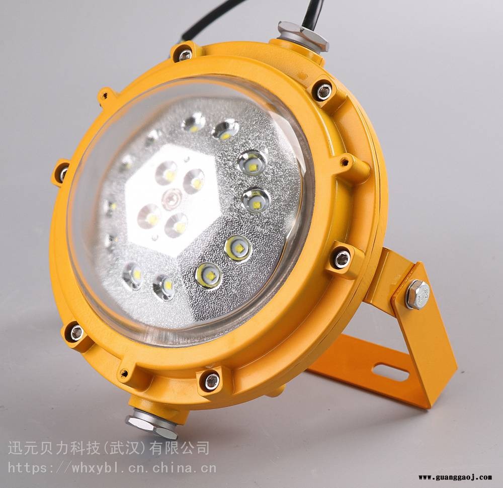 防爆投光灯60W-壁挂式粉尘防爆灯100W-隔爆型LED防爆投光灯图1