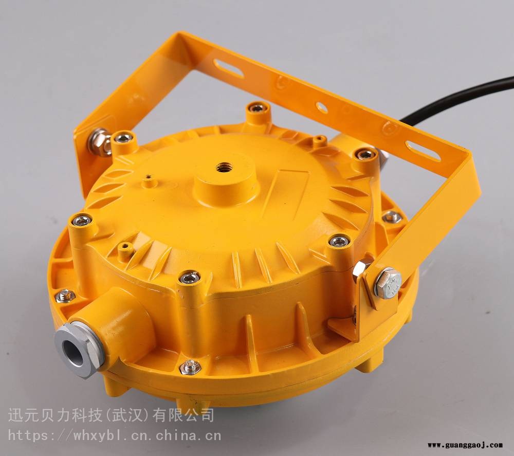 防爆投光灯60W-壁挂式粉尘防爆灯100W-隔爆型LED防爆投光灯图3