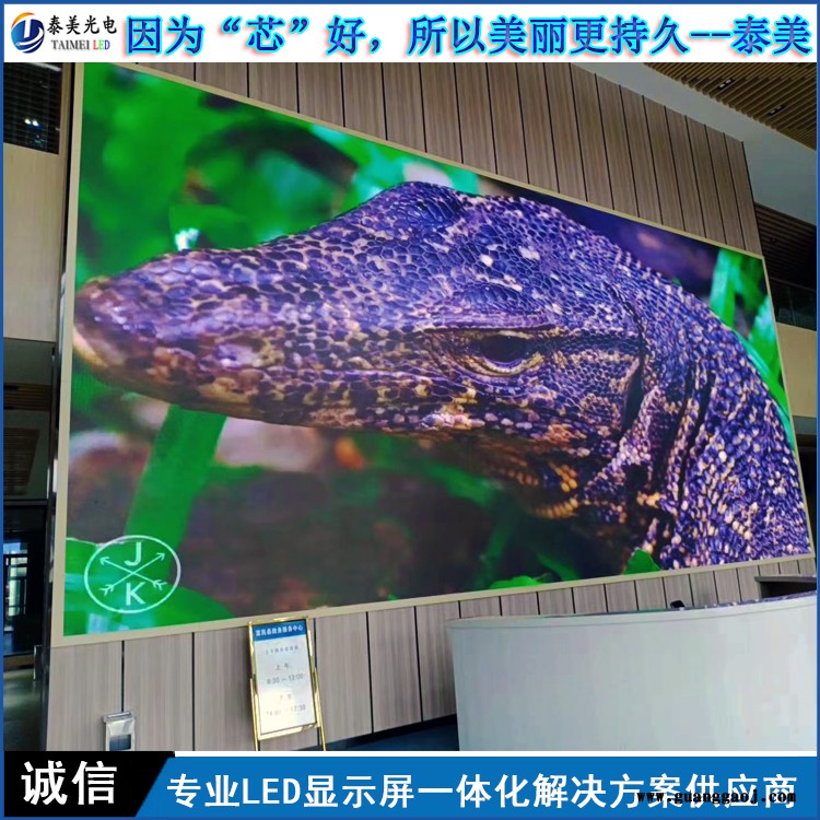 泰美室内P2全彩led显示屏电子屏大屏幕高清 整屏订制图2