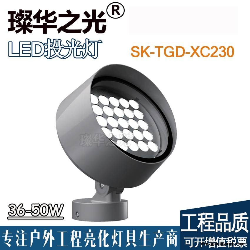 璨华照明SK-TGD-XD220 新款LED投光灯6-72W圆形抱柱灯RGB/RGBW景观投光灯图2
